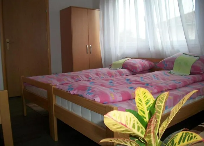 Hostel Hostel Room *