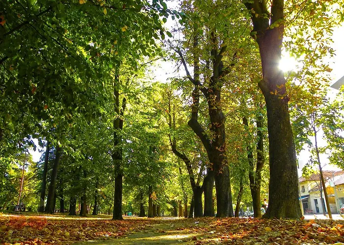 Hostel Room * Banja Luka